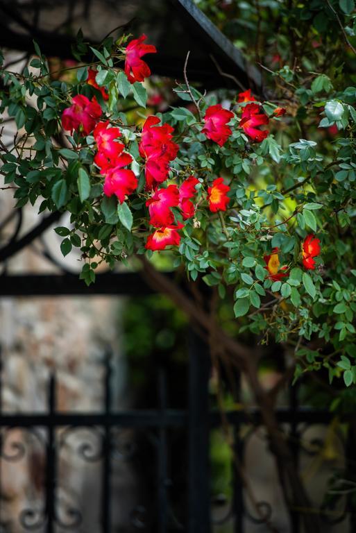 Villa Mulberry House Sithonia Exterior foto